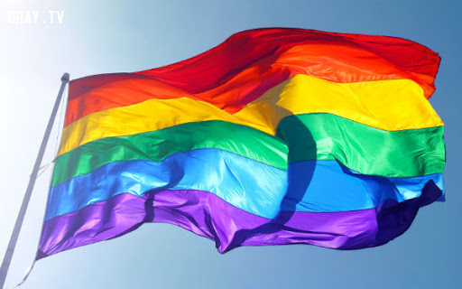 Ngày quốc tế chống kỳ thị LGBT 17/5, ngoài ra còn các sự kiện khác nào diễn ra nữa?